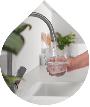 Water Treatment Services | Priority Plumbing